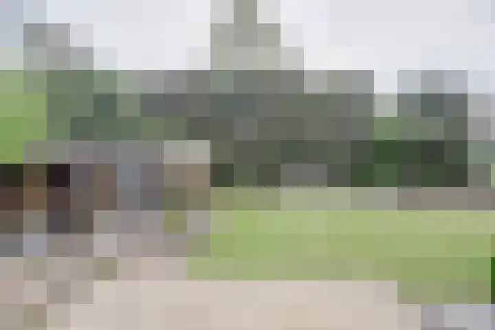 Oud Kerkpad 3 Schijf thumbnail 54