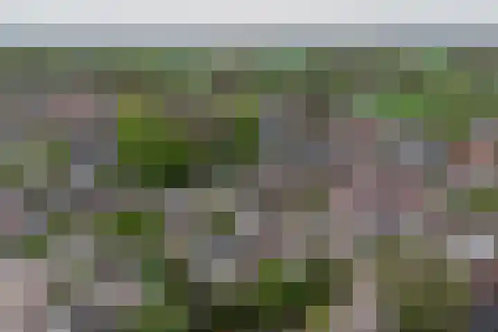 Oud Kerkpad 3 Schijf thumbnail 57