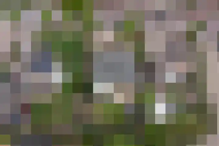 Oud Kerkpad 3 Schijf thumbnail 58