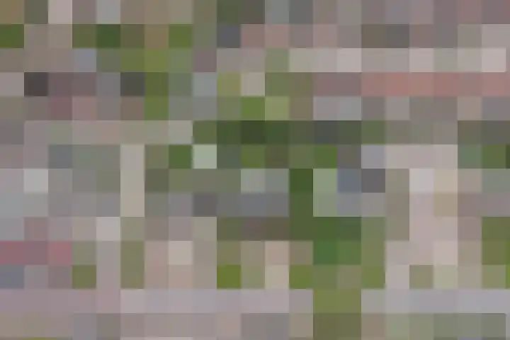 Oud Kerkpad 3 Schijf thumbnail 59