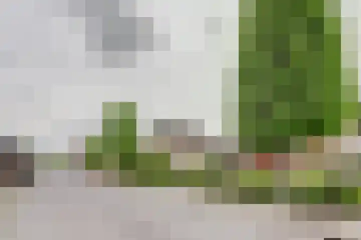 Oud Kerkpad 3 Schijf thumbnail 6