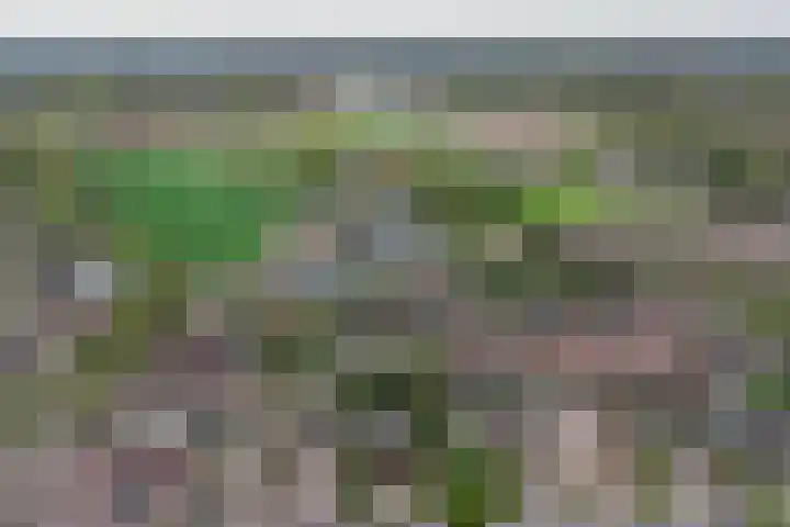 Oud Kerkpad 3 Schijf thumbnail 60
