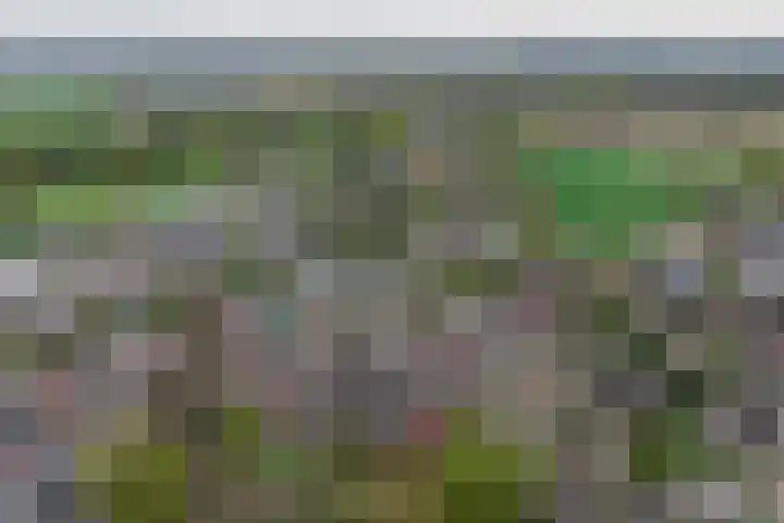 Oud Kerkpad 3 Schijf thumbnail 61