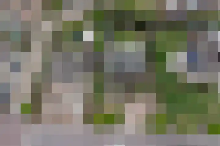 Oud Kerkpad 3 Schijf thumbnail 62