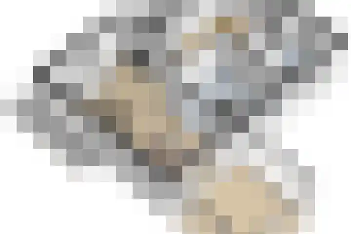 Oud Kerkpad 3 Schijf thumbnail 67