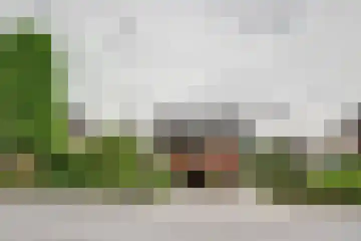 Oud Kerkpad 3 Schijf thumbnail 7