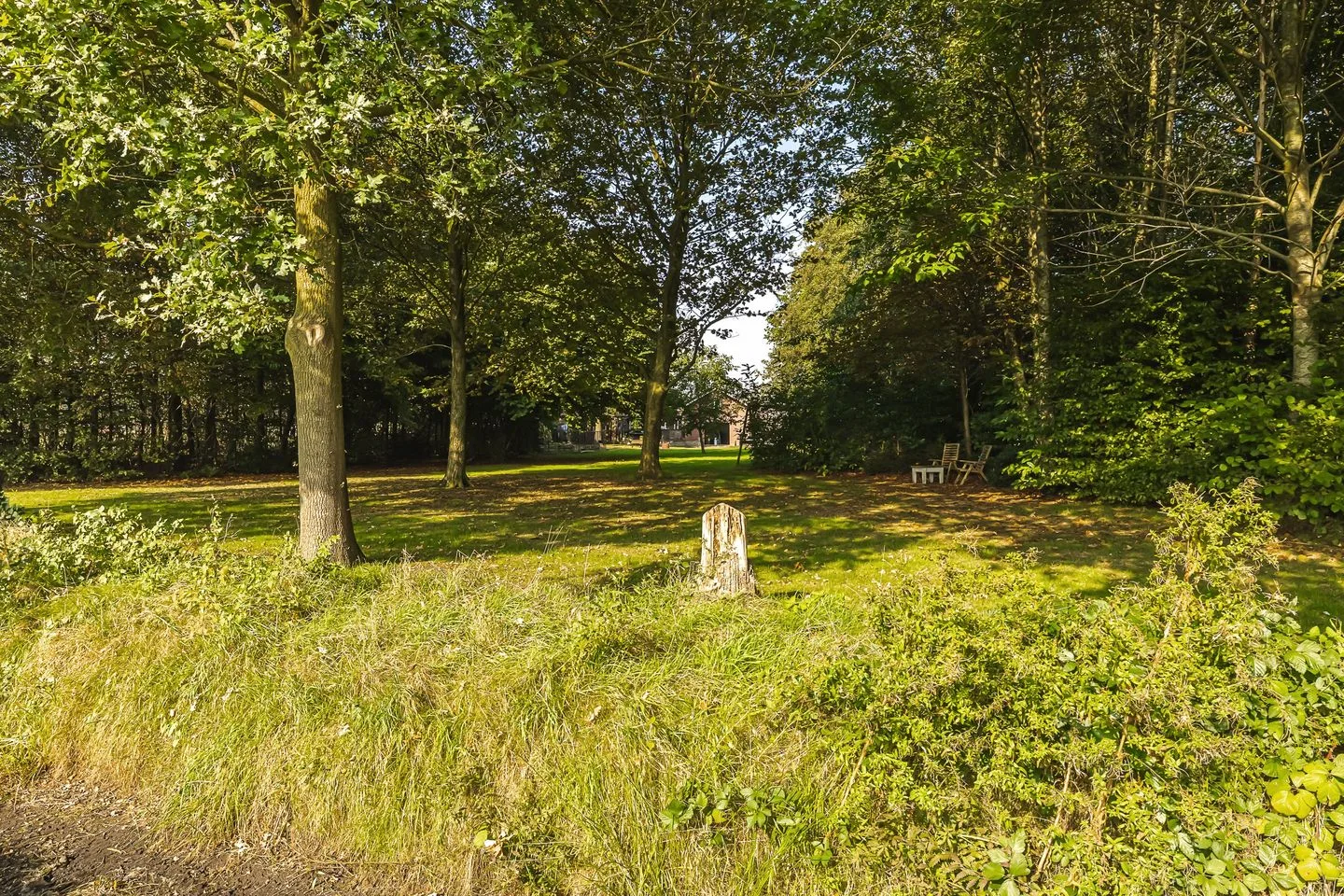 Oud Kerkpad 32 Schijf thumbnail 56