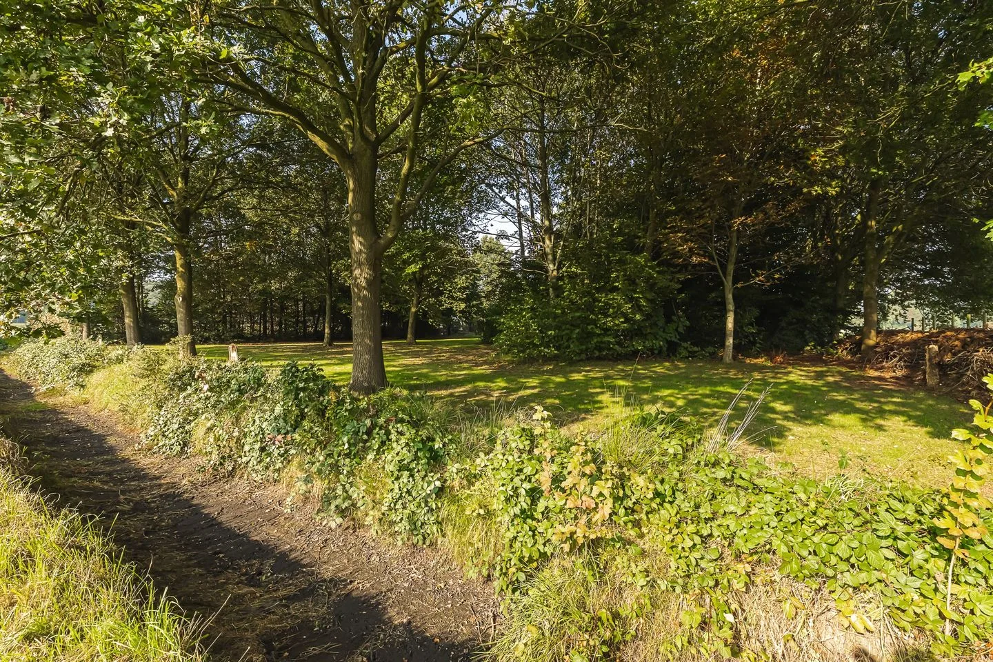 Oud Kerkpad 32 Schijf thumbnail 57
