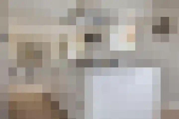 Oud Laar 19 Berlicum thumbnail 12