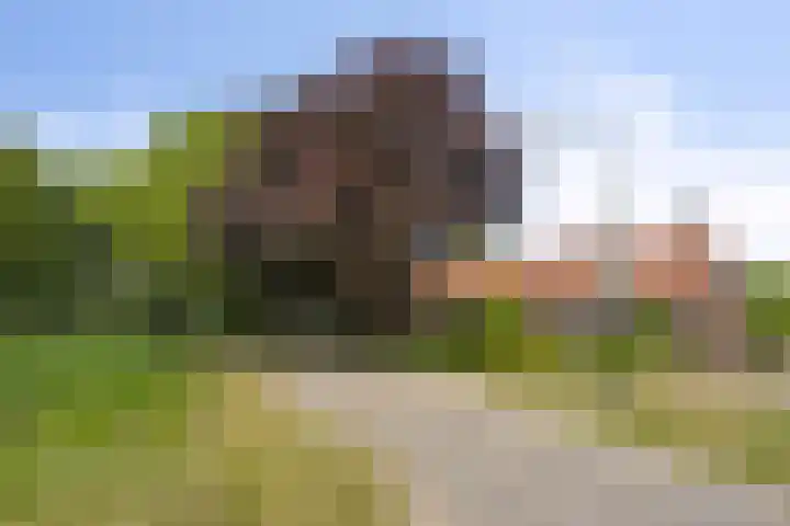 Oud Laar 19 Berlicum foto 2