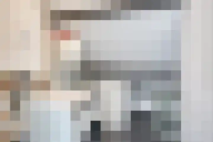 Oud Laar 19 Berlicum thumbnail 23