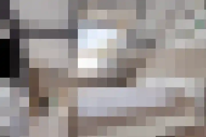 Oud Laar 19 Berlicum thumbnail 26