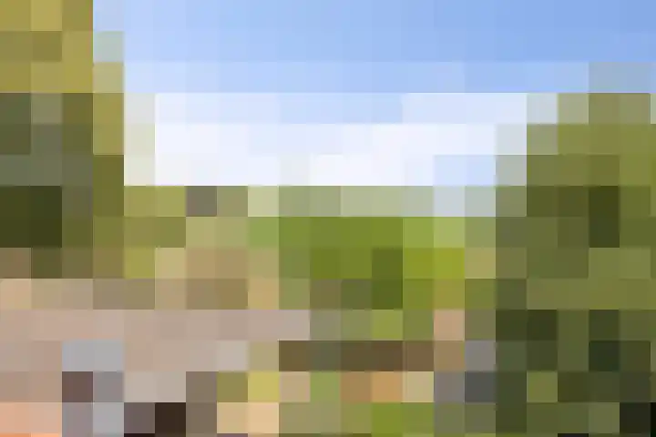 Oud Laar 19 Berlicum thumbnail 29