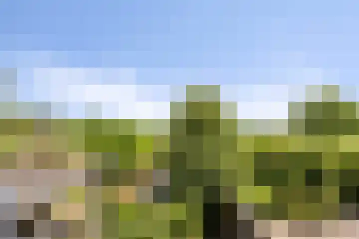 Oud Laar 19 Berlicum thumbnail 30