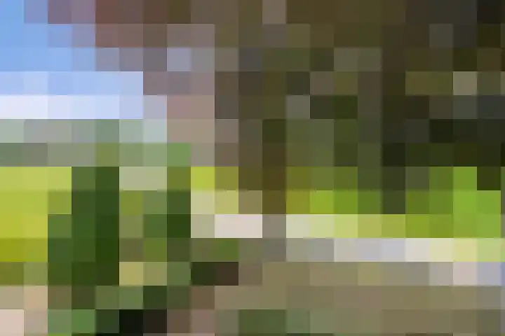 Oud Laar 19 Berlicum thumbnail 31
