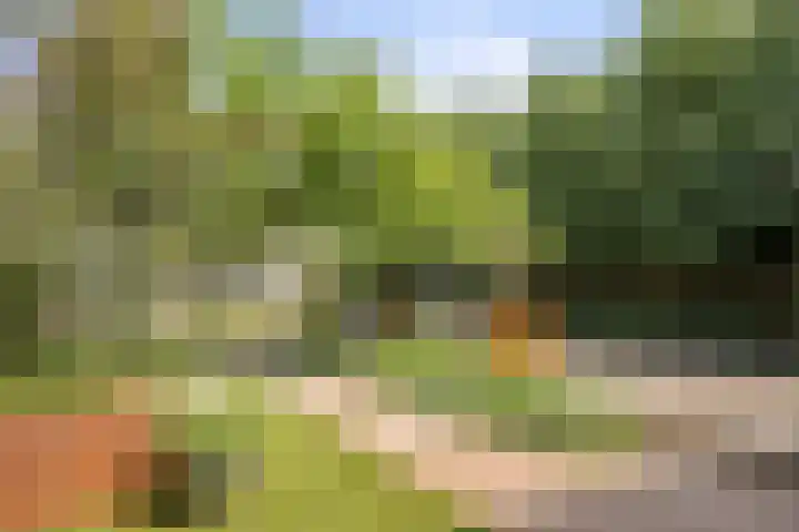Oud Laar 19 Berlicum thumbnail 36