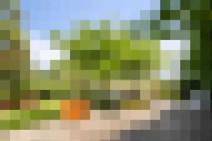 Oud Laar 19 Berlicum thumbnail 37