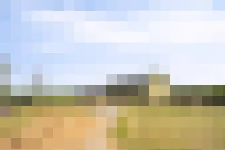 Oud Laar 19 Berlicum thumbnail 40