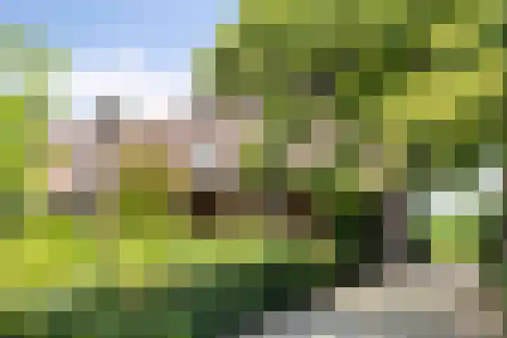 Oud Laar 19 Berlicum thumbnail 41