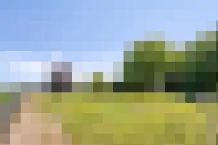 Oud Laar 19 Berlicum thumbnail 44