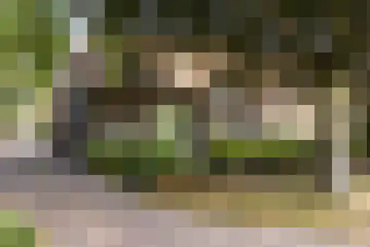 Oud Laar 19 Berlicum thumbnail 48