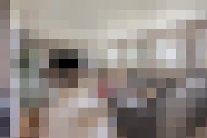 Oud Laar 19 Berlicum thumbnail 5