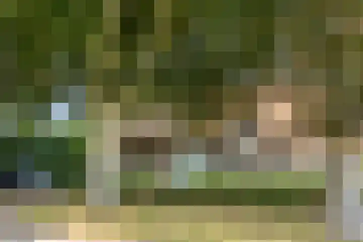 Oud Laar 19 Berlicum thumbnail 50