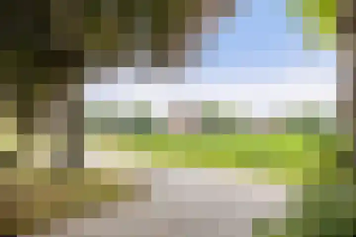 Oud Laar 19 Berlicum thumbnail 51