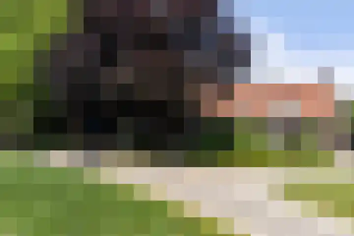 Oud Laar 19 Berlicum thumbnail 53