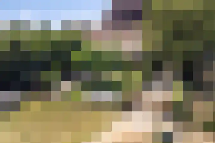 Oud Laar 19 Berlicum thumbnail 57