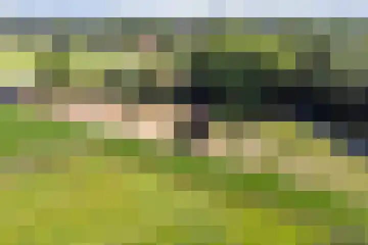 Oud Laar 19 Berlicum thumbnail 60