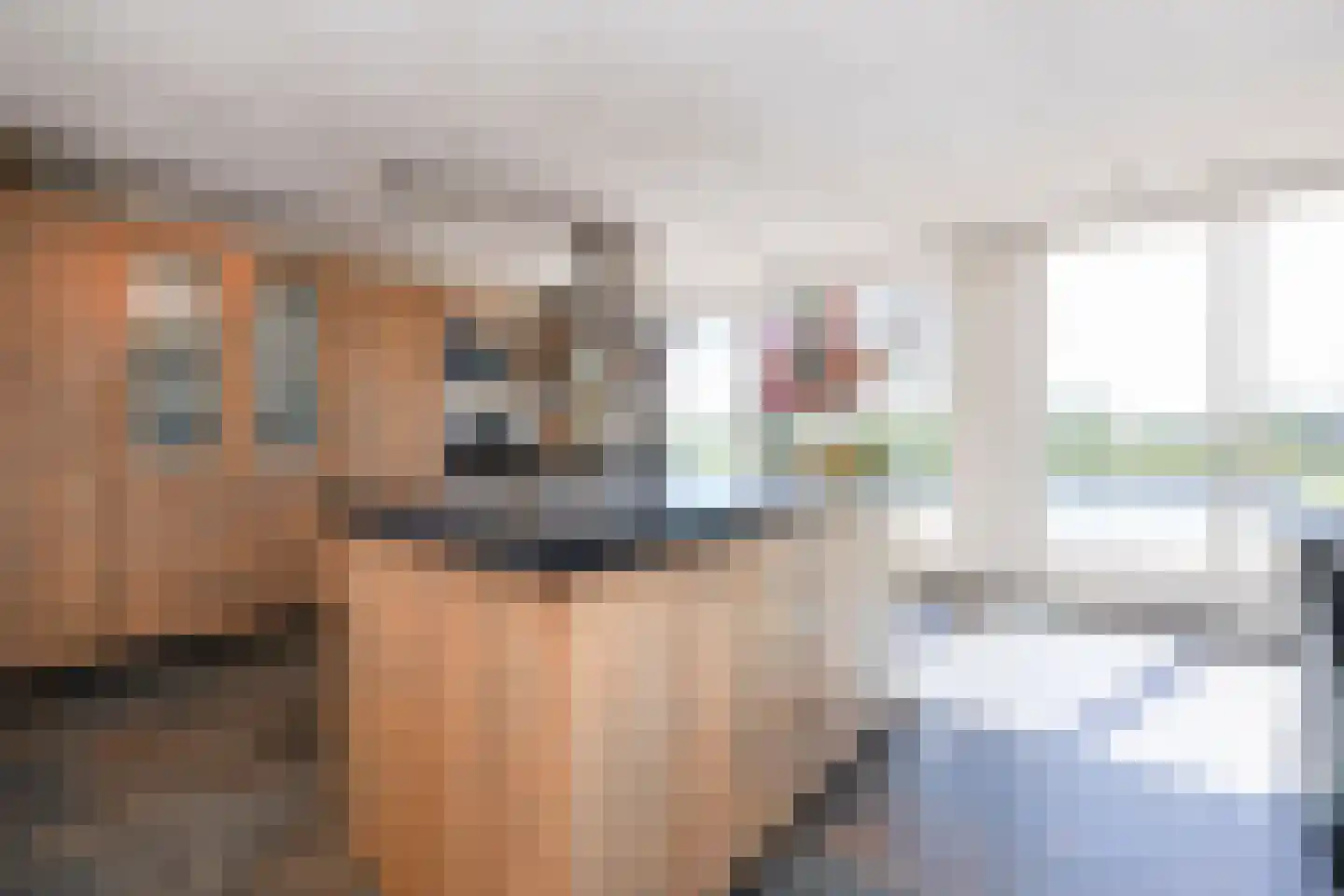 Oud Laar 23 Berlicum thumbnail 16