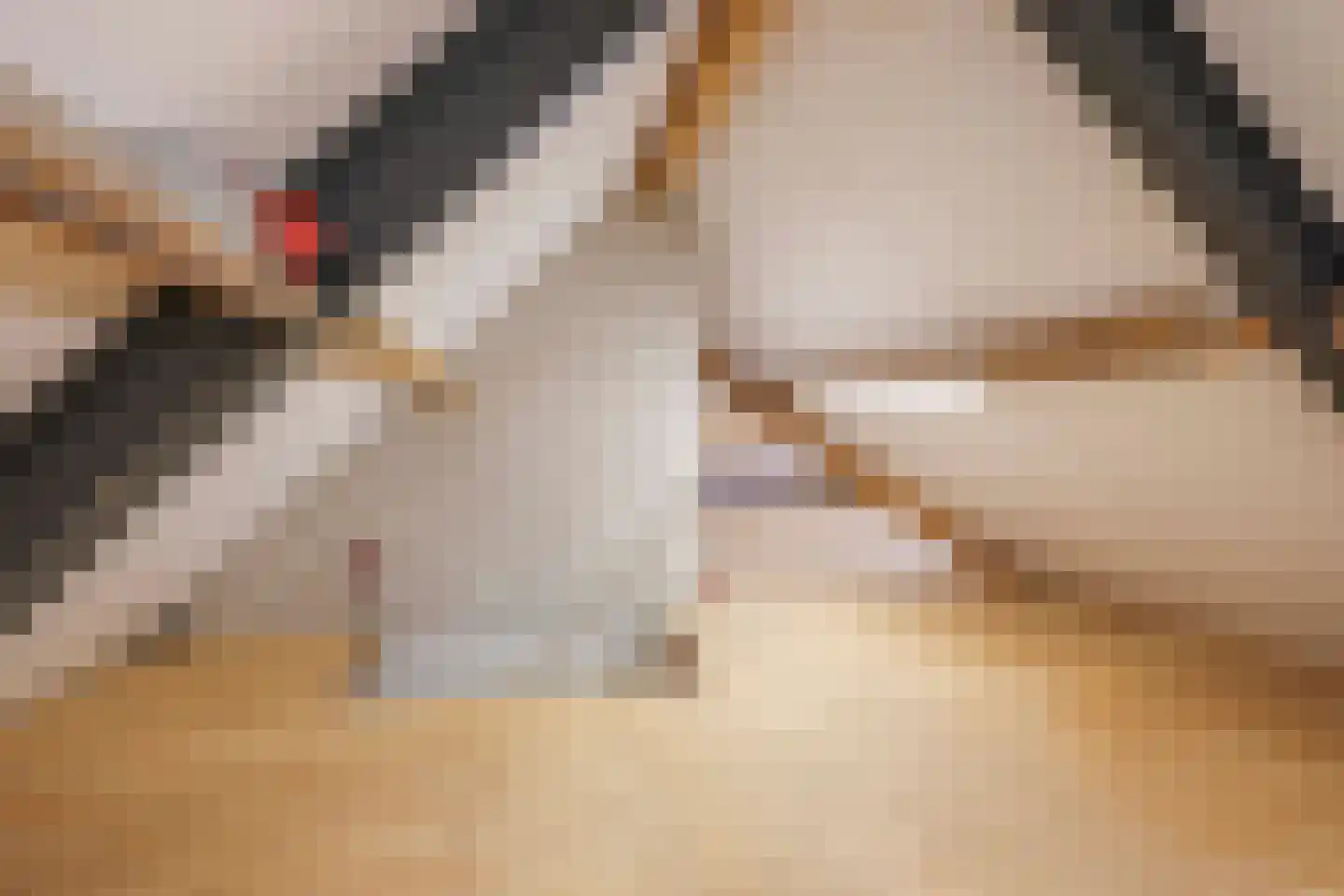 Oud Laar 23 Berlicum thumbnail 36
