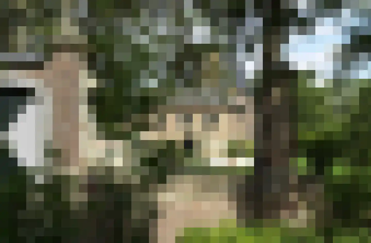 Oud Lemiers 10 Lemiers thumbnail 100