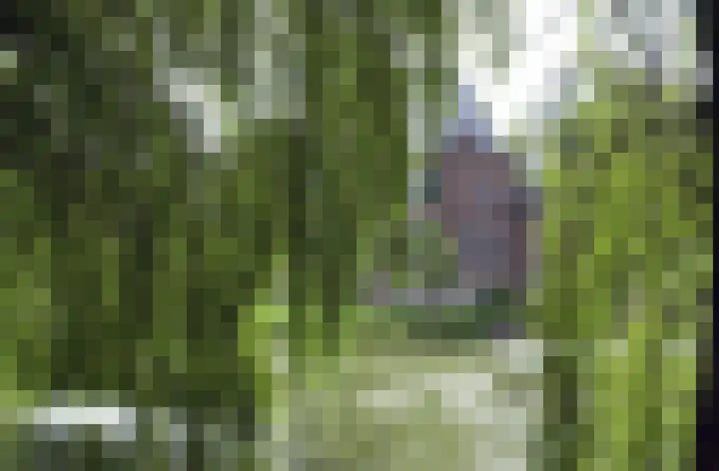 Oud Lemiers 10 Lemiers thumbnail 108