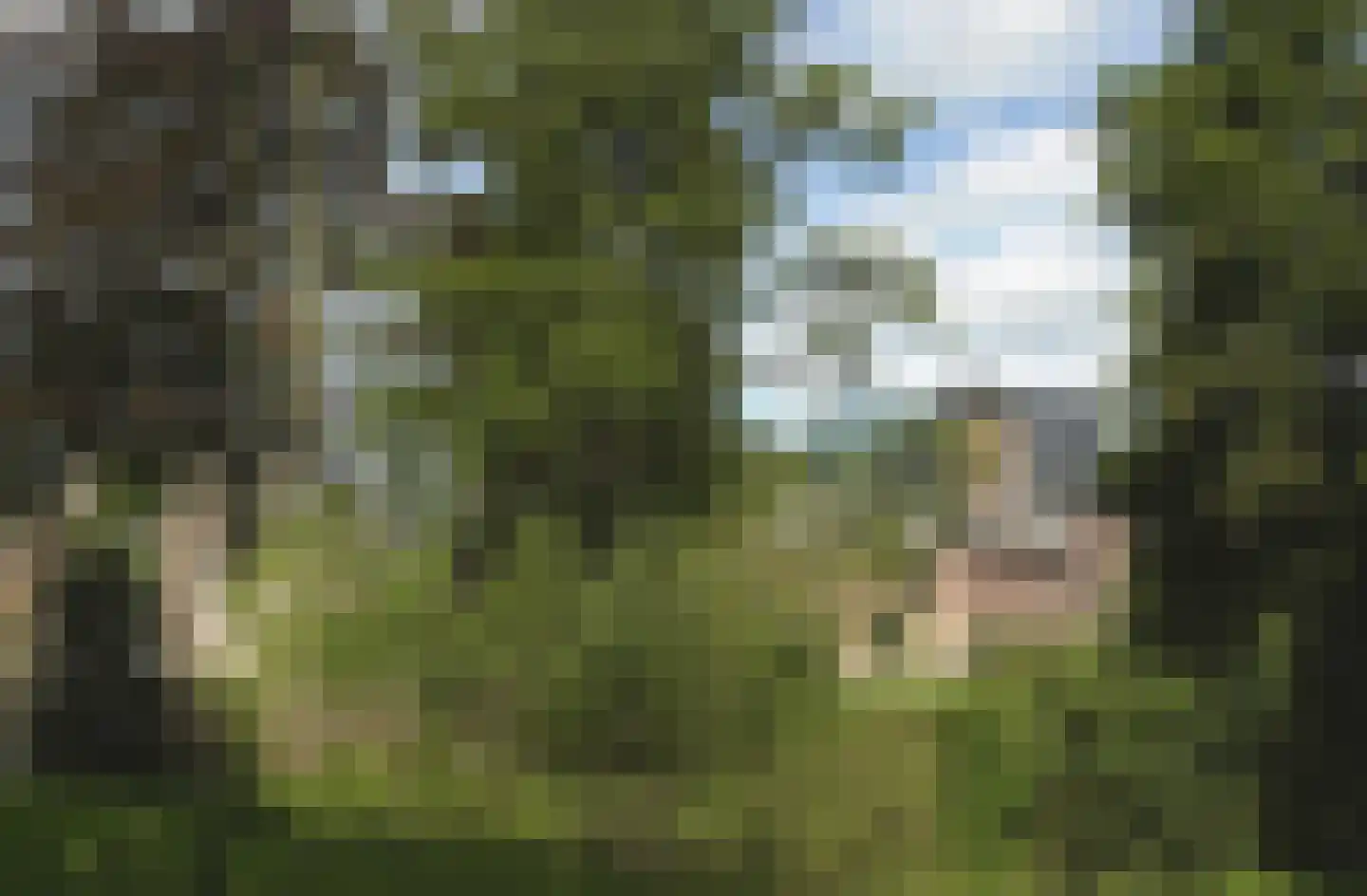 Oud Lemiers 10 Lemiers thumbnail 109