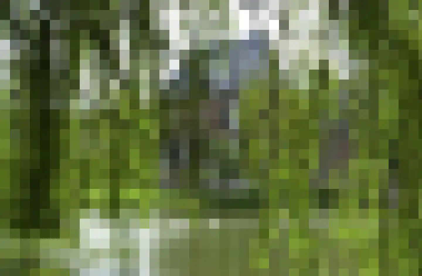 Oud Lemiers 10 Lemiers thumbnail 110