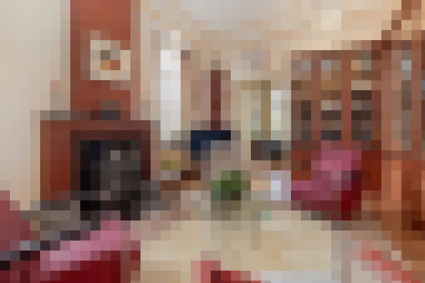 Oud Lemiers 10 Lemiers thumbnail 16