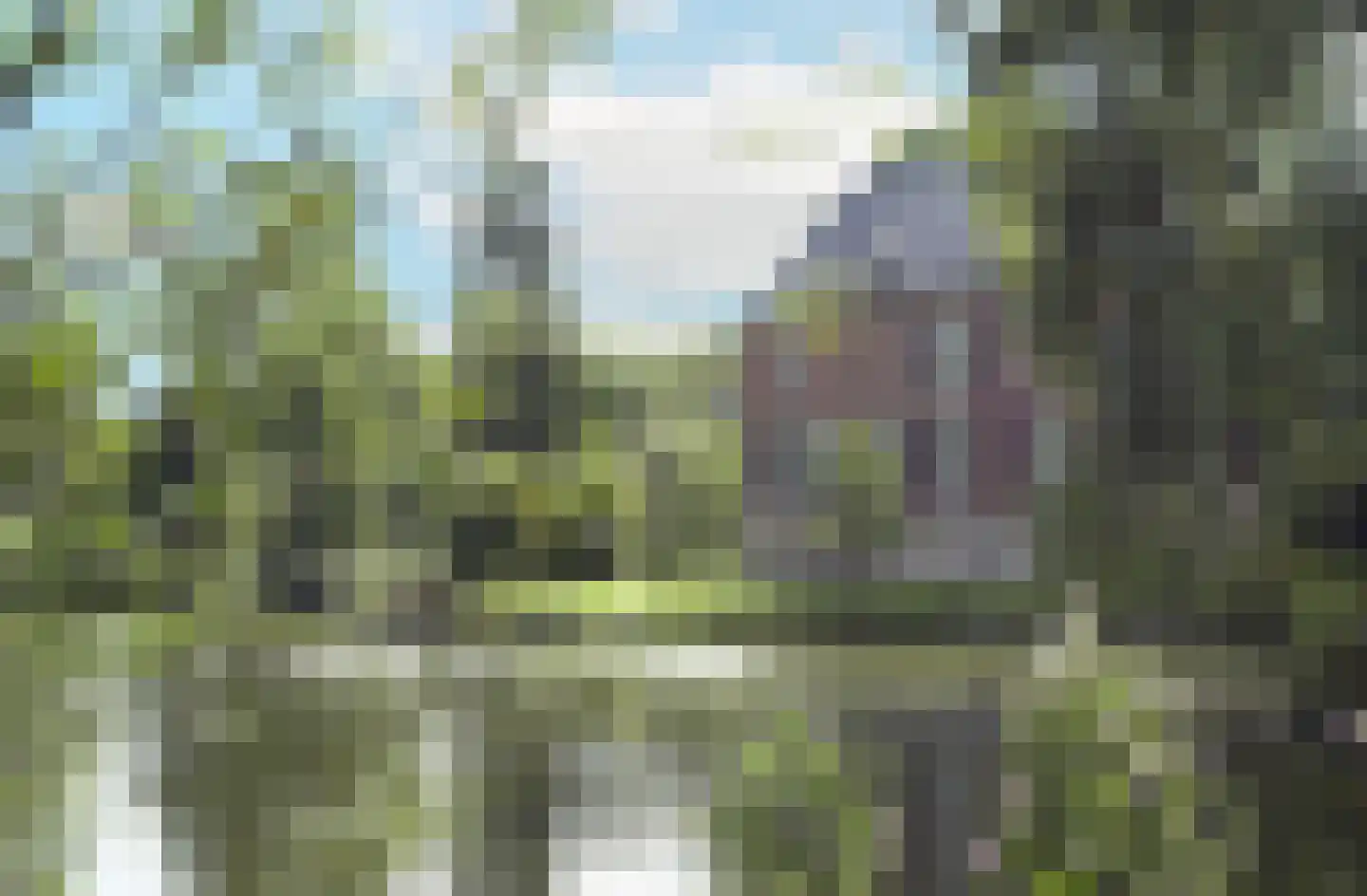 Oud Lemiers 10 Lemiers thumbnail 4