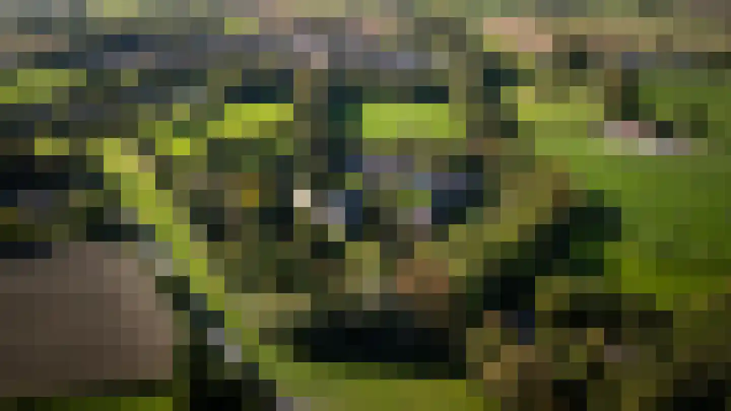 Oud Lemiers 10 Lemiers thumbnail 6