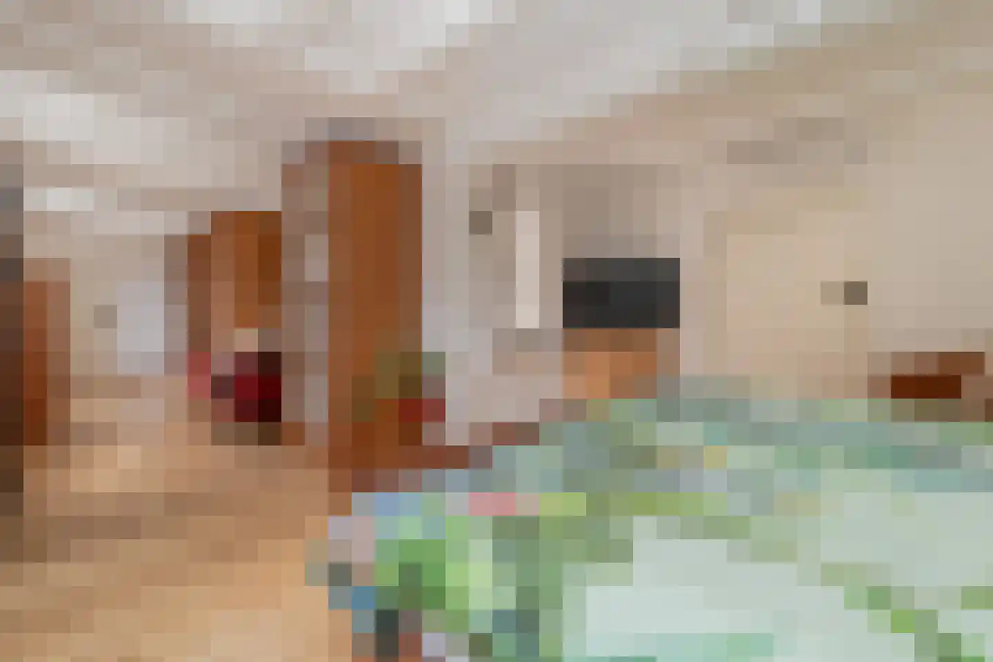 Oud Lemiers 10 Lemiers thumbnail 69