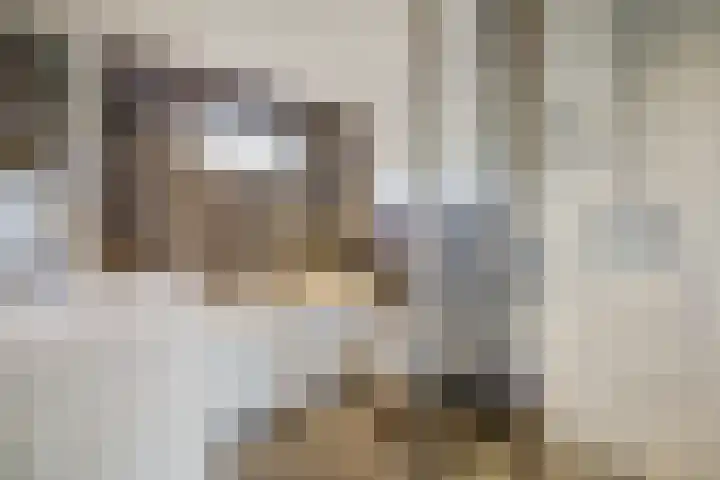 Oud Lemiers 10 Lemiers thumbnail 77
