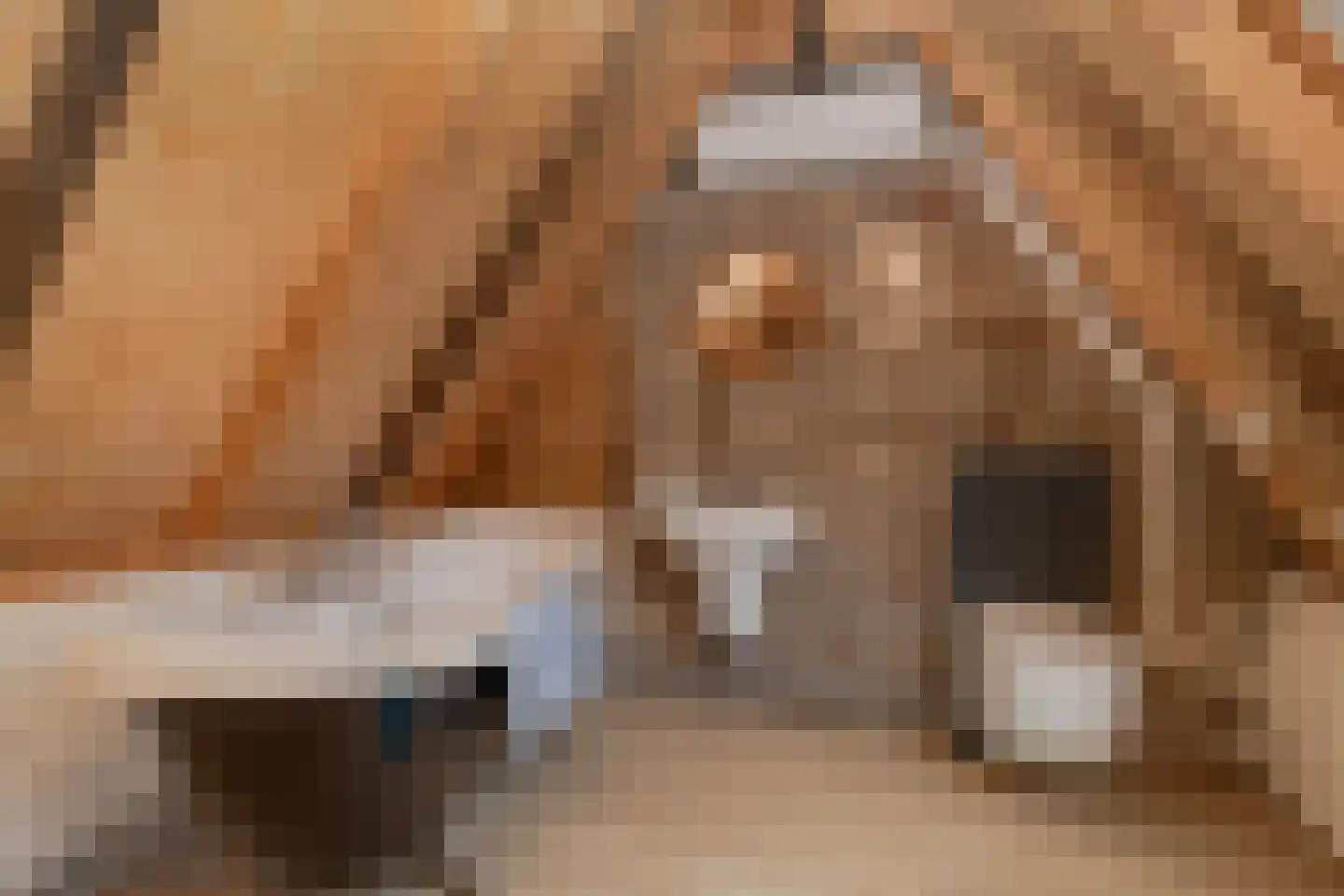 Oud Lemiers 10 Lemiers thumbnail 86
