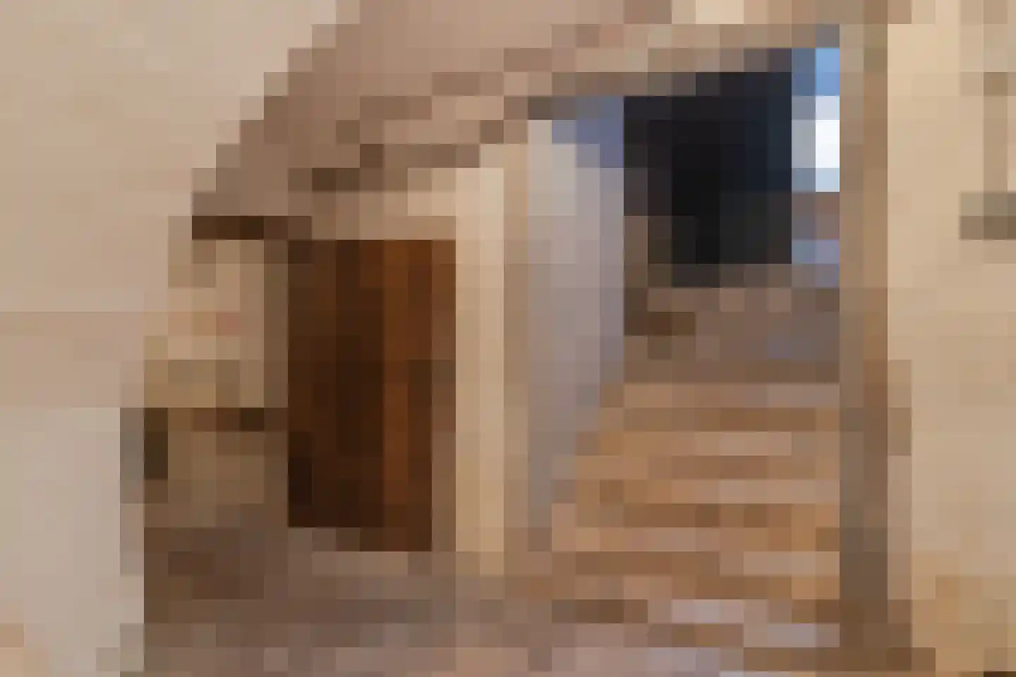 Oud Lemiers 10 Lemiers thumbnail 88