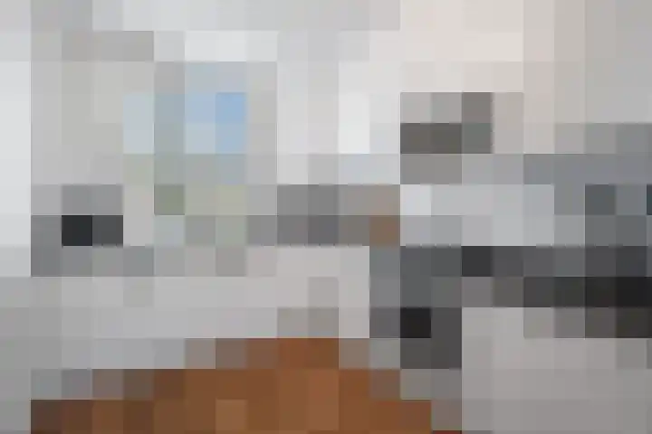 Oud Lemiers 10 Lemiers thumbnail 91