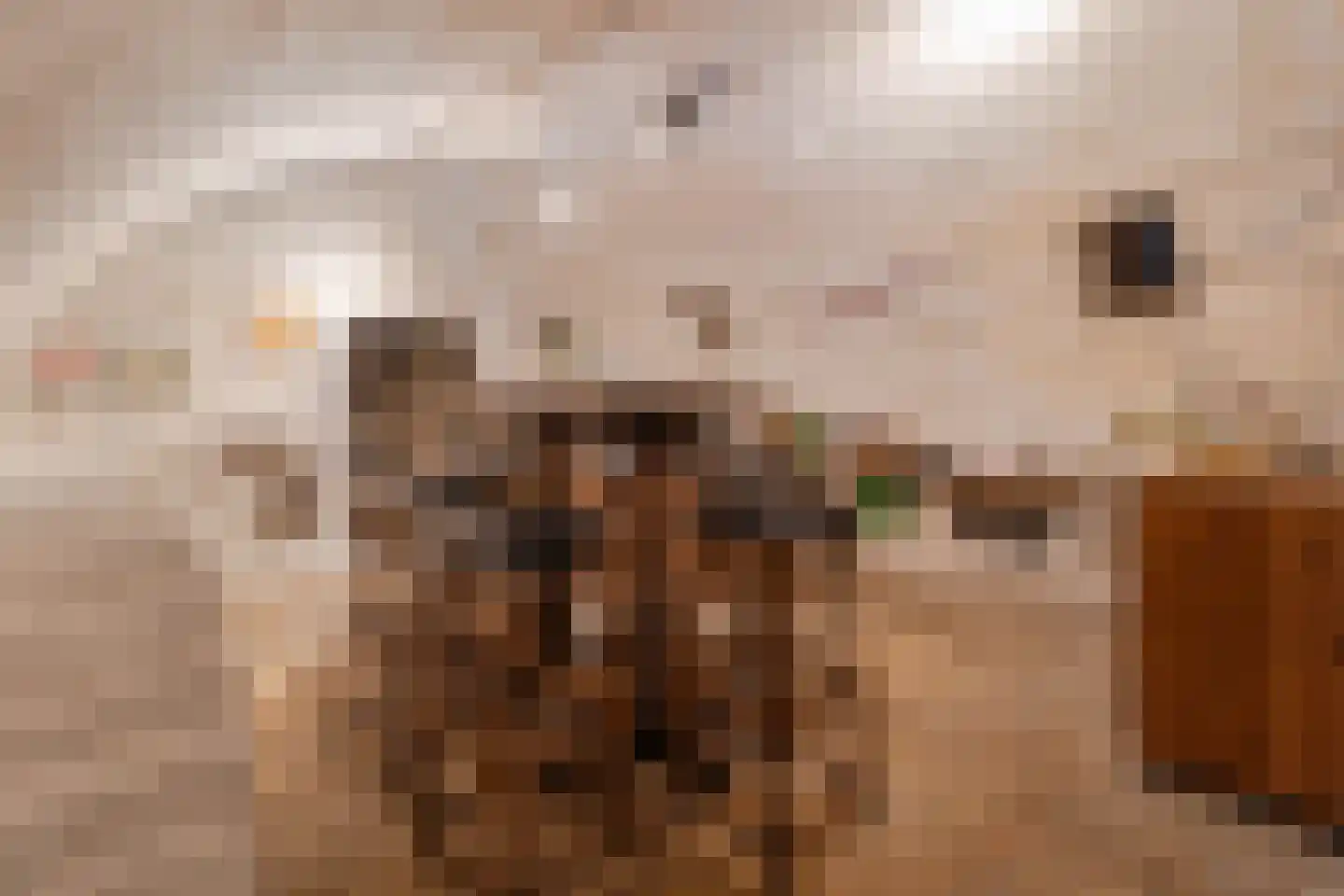 Oud Lemiers 10 Lemiers thumbnail 92