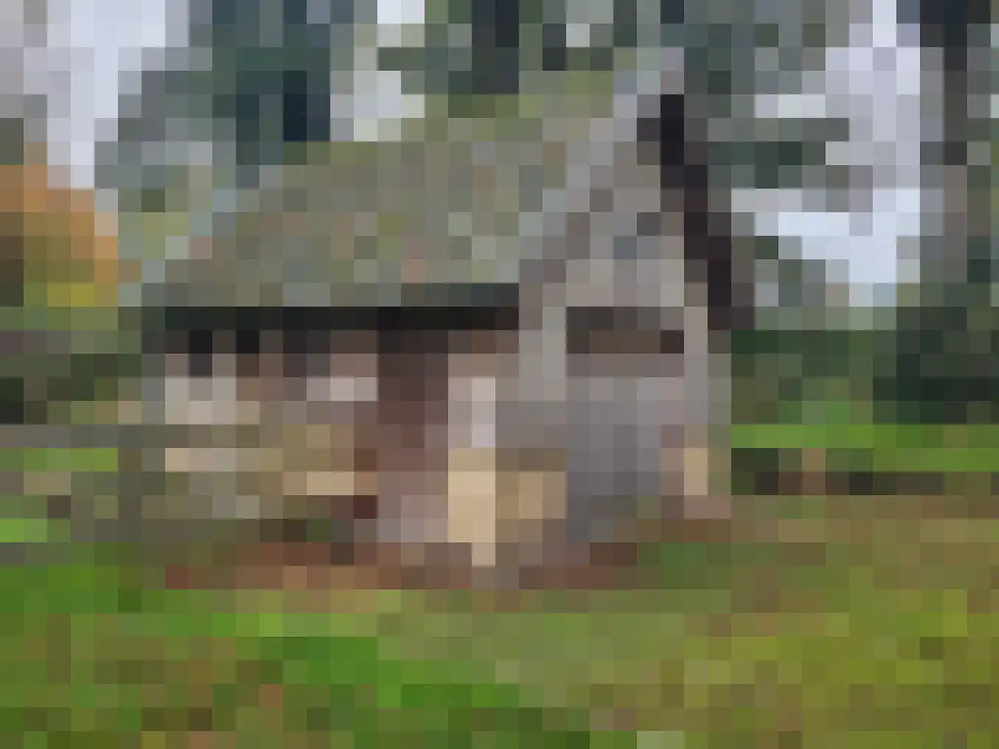 Oud Lemiers 10 Lemiers thumbnail 96