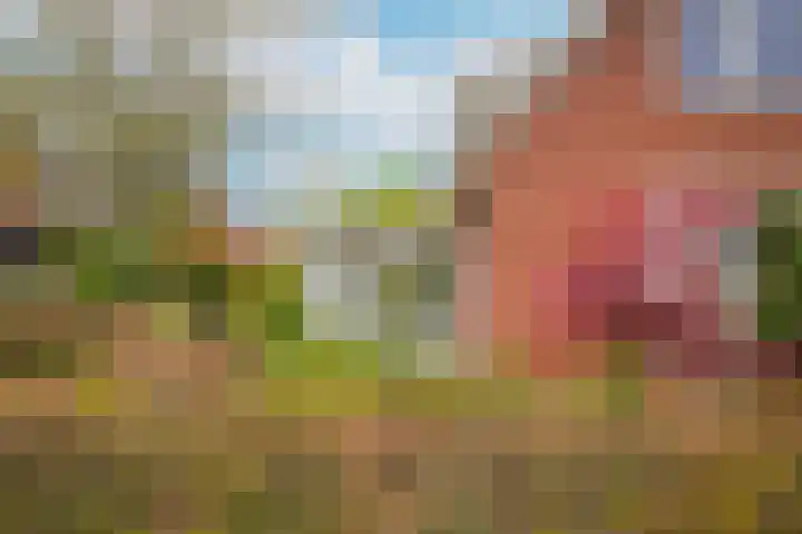 Oud Lemiers 10 Lemiers thumbnail 97