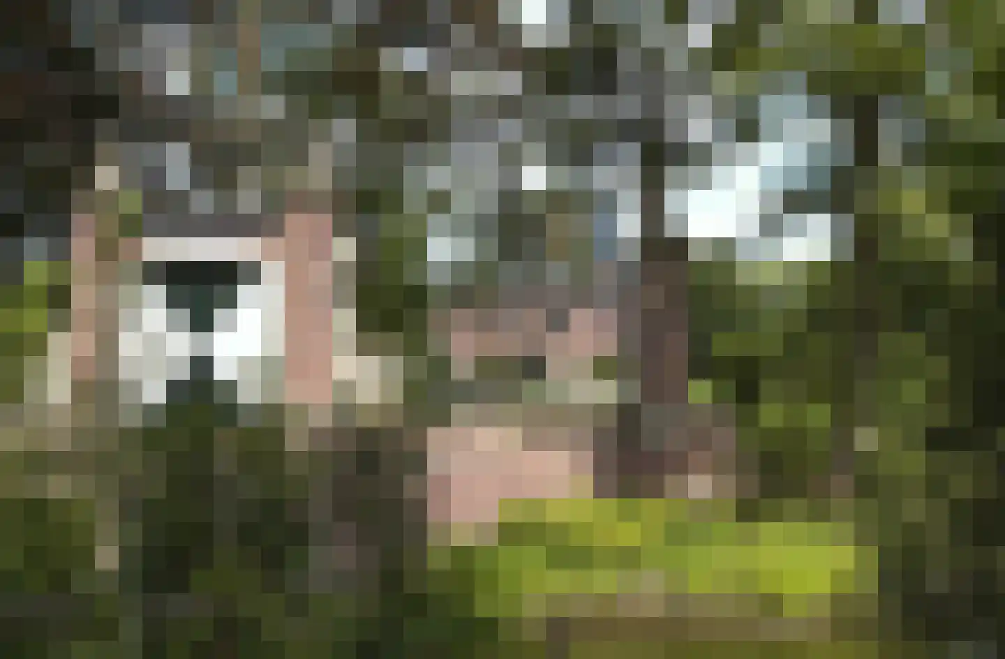 Oud Lemiers 10 Lemiers thumbnail 97