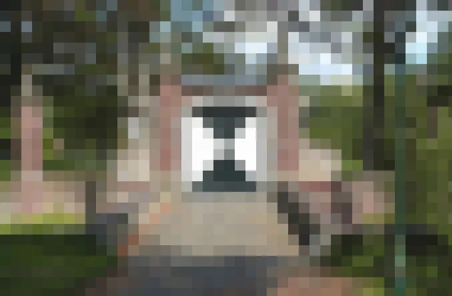 Oud Lemiers 10 Lemiers thumbnail 98